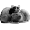 Стикер 44 Sexy Bw