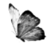 Стикер 56 Sexy Bw