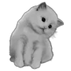 Стикер 23 Sexy Bw