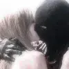 Стикер 52 sexy human
