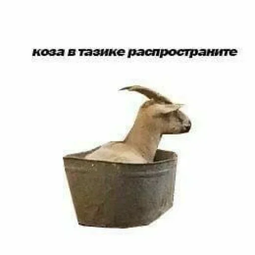 😏 Стикер «хуйняпиздец» для Telegram