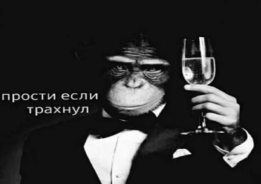 😎 Стикер «хуйняпиздец» для Telegram