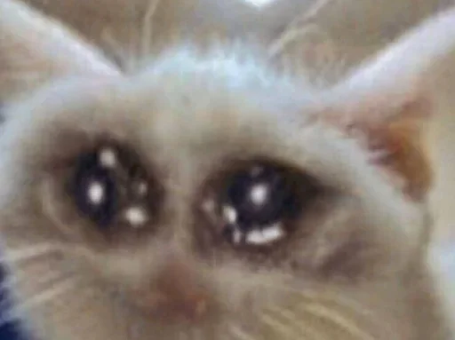 🥺 Стикер «хуйняпиздец» для Telegram
