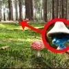 Стикер 12 Шайлушай