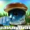 Стикер 8 Шайлушай