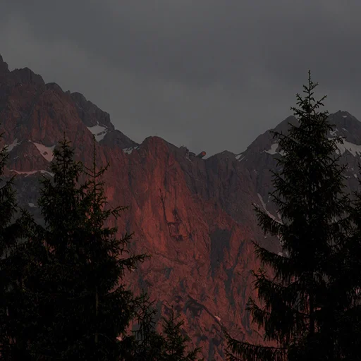 🌲 Стикер «шалаш» для Telegram