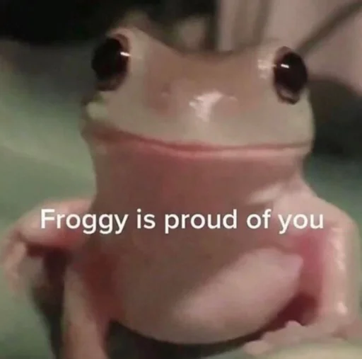 🐸 Стикер «Шапка жабка» для Telegram
