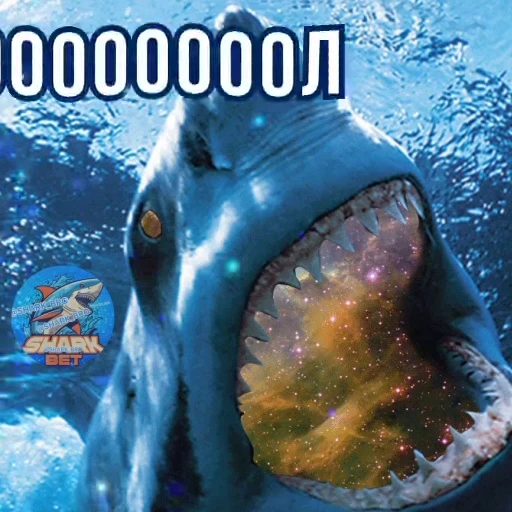 ⚽️ Стикер «Sharkbet» для Telegram