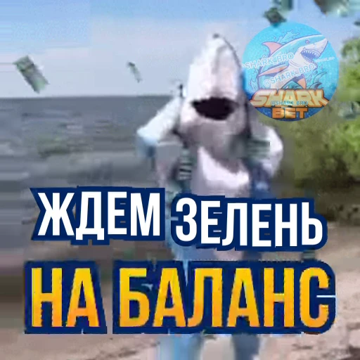💵 Стикер «Sharkbet» для Telegram