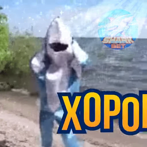 🥳 Стикер «Sharkbet» для Telegram
