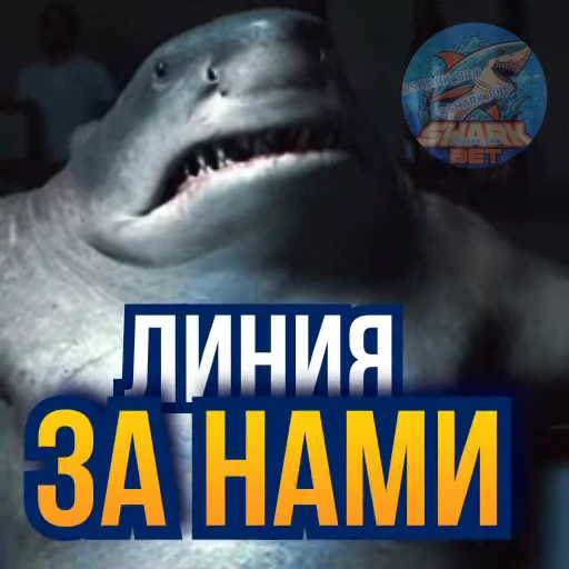 🤟 Стикер «Sharkbet» для Telegram