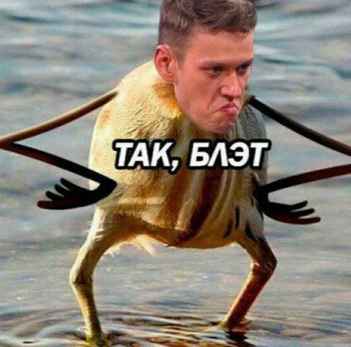 🌟 Стикер «Антон Шастун» для Telegram