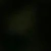 🐱 Эмодзи «we live, we love, we lie..» для Telegram