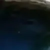 🐱 Эмодзи «we live, we love, we lie..» для Telegram