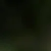🐱 Эмодзи «we live, we love, we lie..» для Telegram