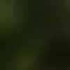 🐱 Эмодзи «we live, we love, we lie..» для Telegram