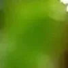 🐱 Эмодзи «we live, we love, we lie..» для Telegram