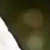 🐱 Эмодзи «we live, we love, we lie..» для Telegram