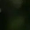 🐱 Эмодзи «we live, we love, we lie..» для Telegram