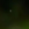 🐱 Эмодзи «we live, we love, we lie..» для Telegram