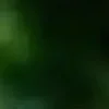 🐱 Эмодзи «we live, we love, we lie..» для Telegram