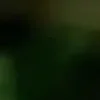 🐱 Эмодзи «we live, we love, we lie..» для Telegram