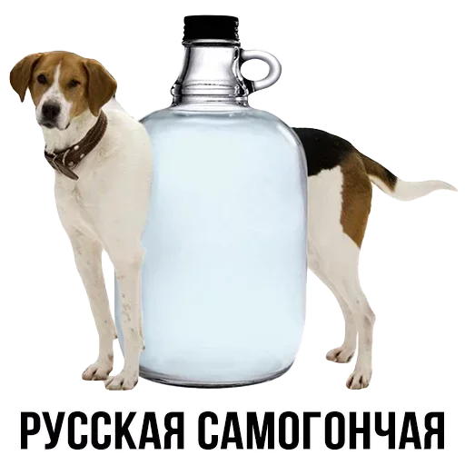 🐕 Стикер «Шлакоблокунь и друзья» для Telegram