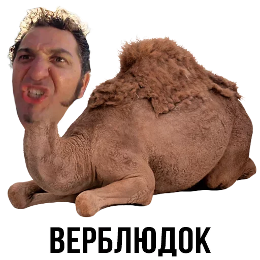 🐪 Стикер «Шлакоблокунь и друзья» для Telegram