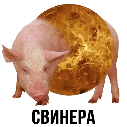 🐷 Стикер «Шлакоблокунь и друзья» для Telegram
