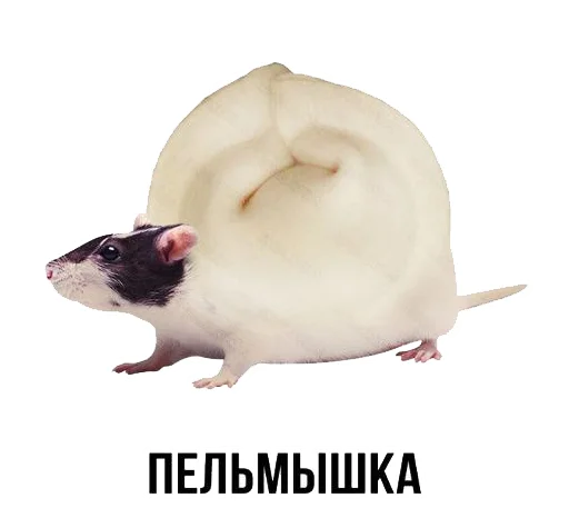 🐭 Стикер «Шлакоблокунь и друзья» для Telegram