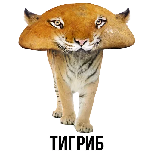 🐯 Стикер «Шлакоблокунь и друзья» для Telegram