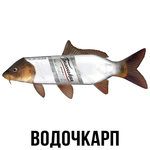 🐟 Стикер «Шлакоблокунь и друзья» для Telegram
