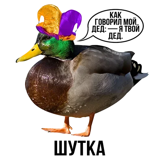 🦆 Стикер «Шлакоблокунь и друзья» для Telegram