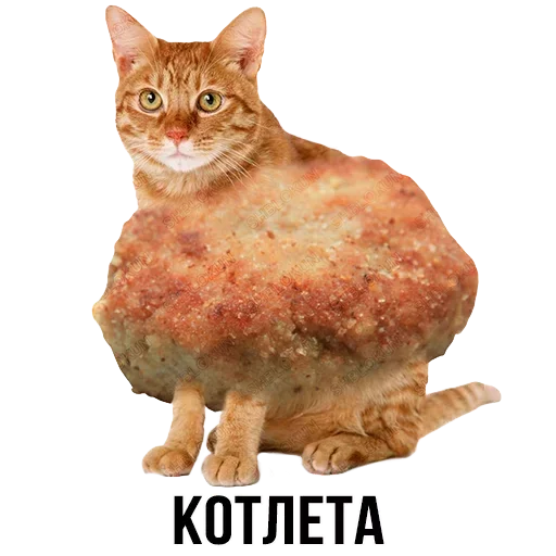 🍽 Стикер «Шлакоблокунь и друзья» для Telegram