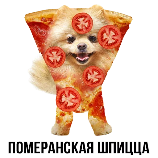 🐶 Стикер «Шлакоблокунь и друзья» для Telegram