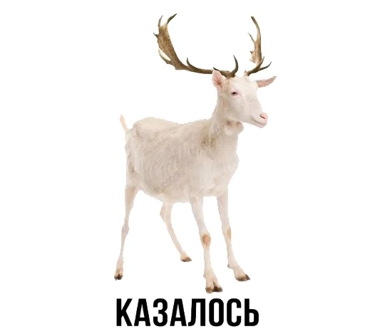 🦌 Стикер «Шлакоблокунь и друзья» для Telegram