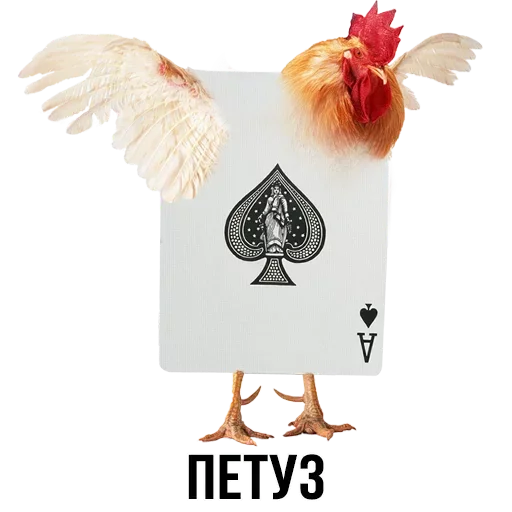 🐔 Стикер «Шлакоблокунь и друзья» для Telegram