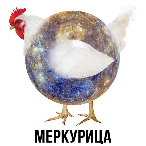 🐔 Стикер «Шлакоблокунь и друзья» для Telegram