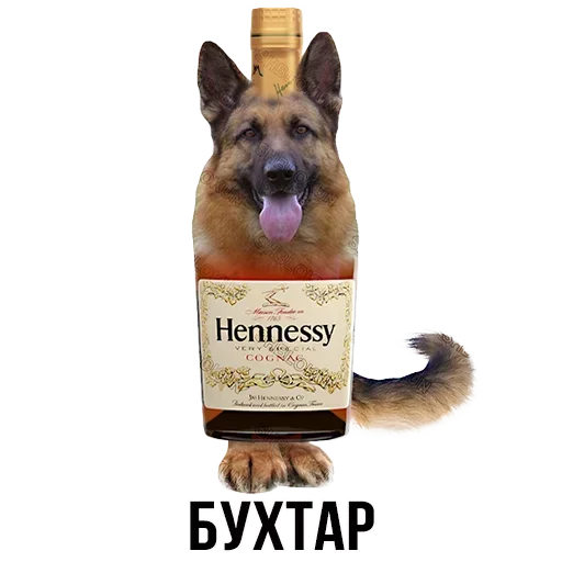 🐕 Стикер «Шлакоблокунь и друзья» для Telegram
