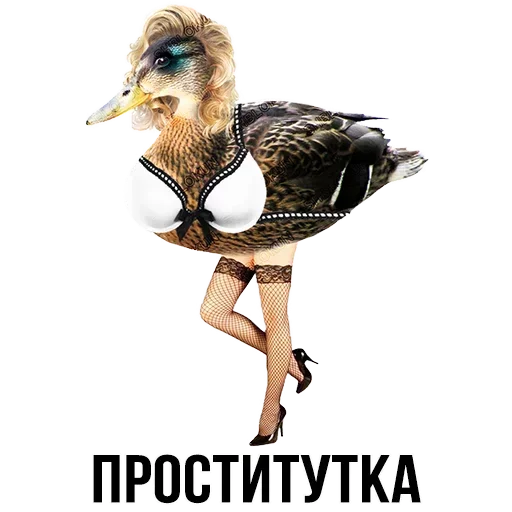 🦆 Стикер «Шлакоблокунь и друзья» для Telegram