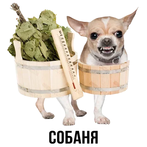 🛁 Стикер «Шлакоблокунь и друзья» для Telegram