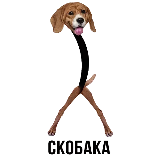 🐶 Стикер «Шлакоблокунь и друзья» для Telegram