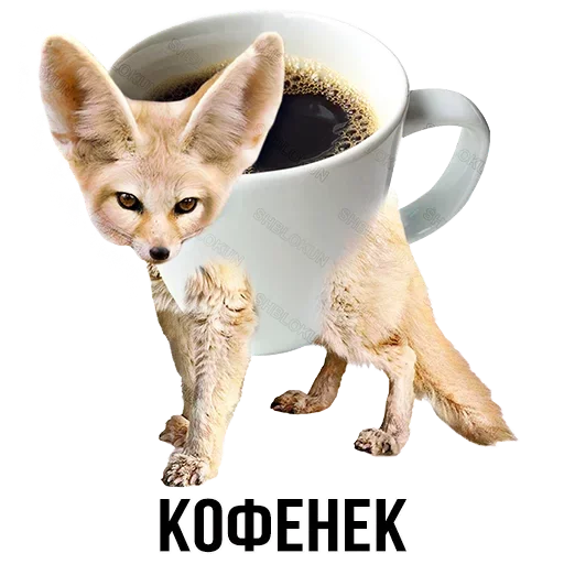 ☕ Стикер «Шлакоблокунь и друзья» для Telegram
