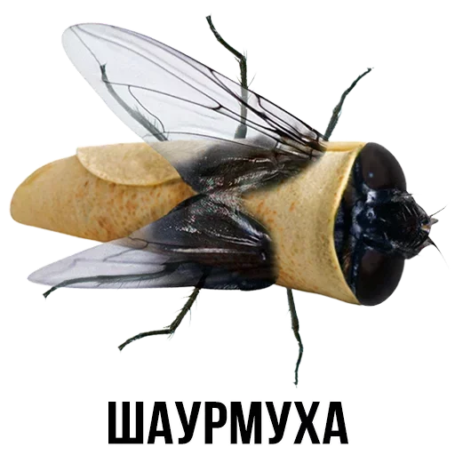 🌯 Стикер «Шлакоблокунь и друзья» для Telegram