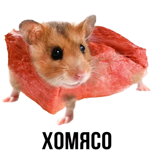 🐹 Стикер «Шлакоблокунь и друзья» для Telegram