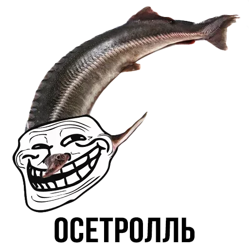 🐟 Стикер «Шлакоблокунь и друзья» для Telegram