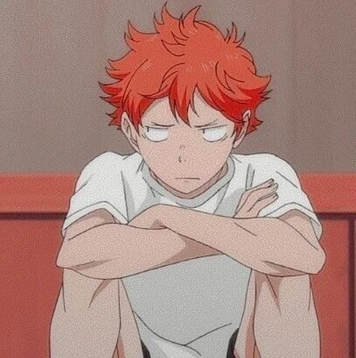 🍊 Стикер «HINATA SHOYO» для Telegram