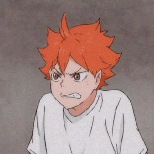 🍊 Стикер «HINATA SHOYO» для Telegram