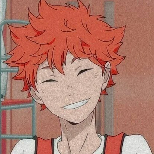 🍊 Стикер «HINATA SHOYO» для Telegram
