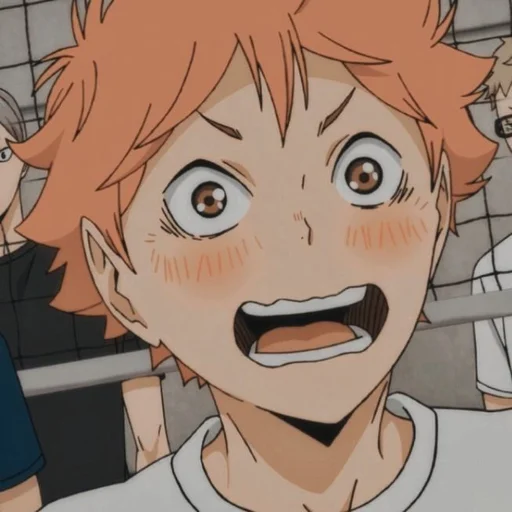 🍊 Стикер «HINATA SHOYO» для Telegram
